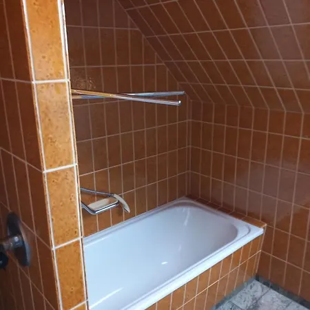 Vila Alexandra Guest house *